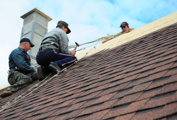 Roof Gutter Cleaning in Lakewood Park, TN